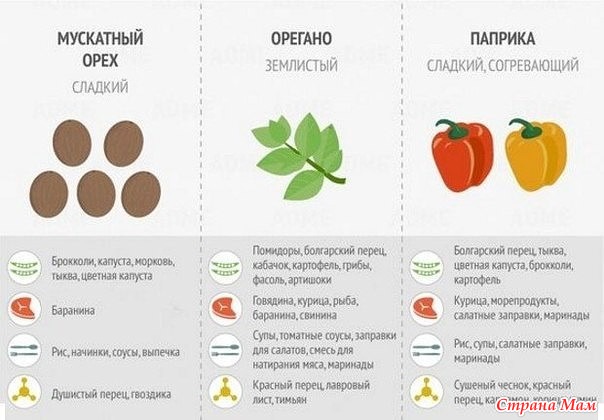 Используем специи по назначению