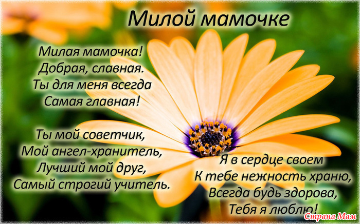 Лучшие поздравление маме