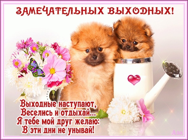 Поздравления начальницы (женщины руководителя) с Днем Поздравления и пожелания в стихах, тосты, афоризмы, СМС