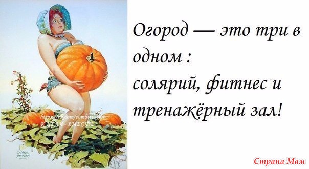 Смешные статусы про дачи Смешные статусы про дачи