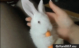 Зрелка сосет хер в ушках кролика фото