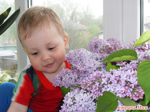 ��� ��� �� �����? �������� - ��������� �������!