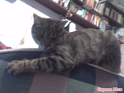 ������� �����������!