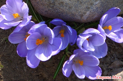 ����������