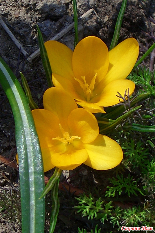 ����������