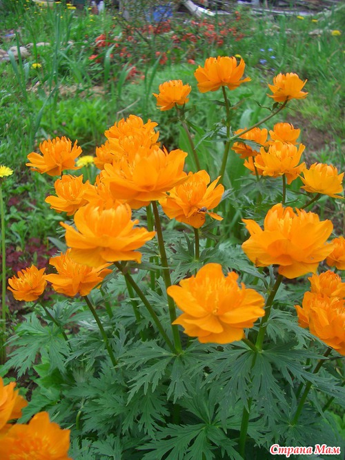 ����������