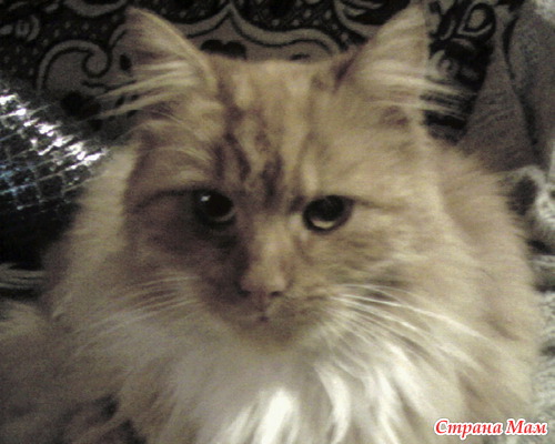 �� ����������� ����� ��� �������� ��������!