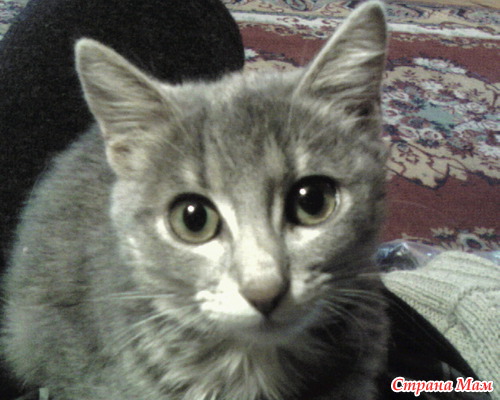 �� ����������� ����� ��� �������� ��������!