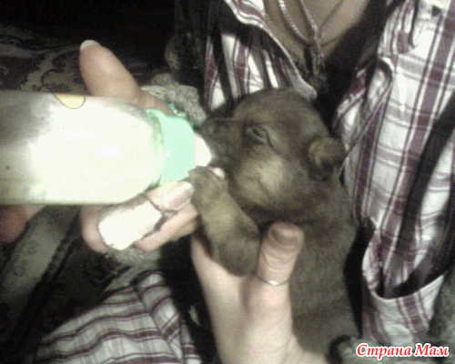 �� ����������� ����� ��� �������� ��������!