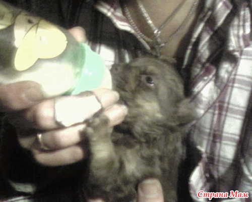 �� ����������� ����� ��� �������� ��������!