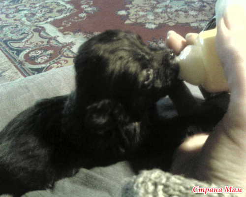 �� ����������� ����� ��� �������� ��������!