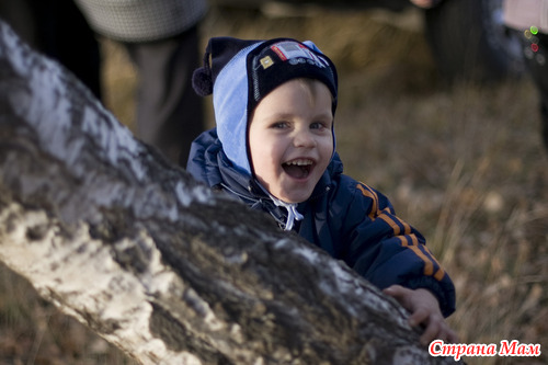 ��� ������