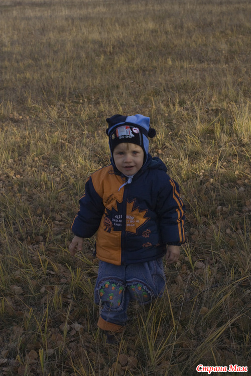 ��� ������