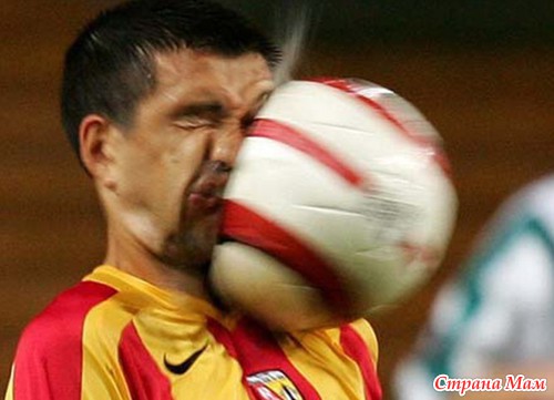 �����, �����, �����