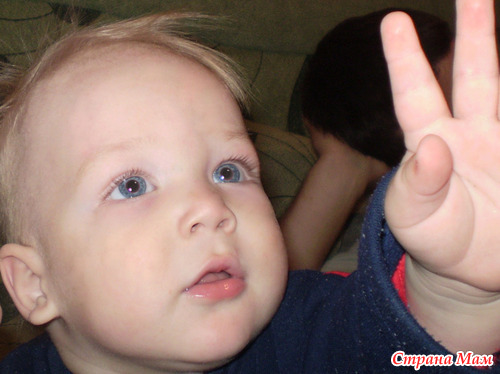 ��� �����: ������� 2,6 ����