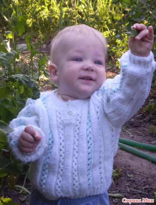 ��� �����: ������� 2,6 ����