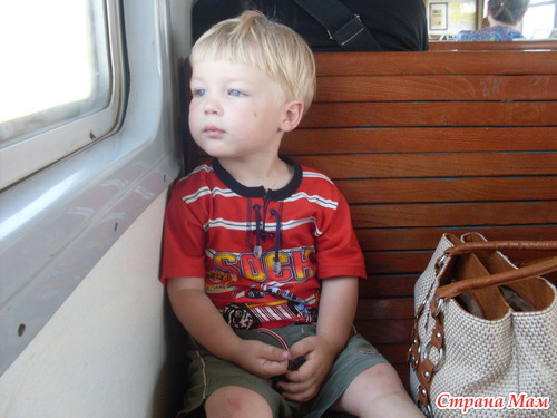 ��� �����: ������� 2,6 ����