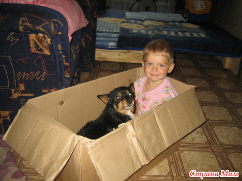 ��� ���������-����