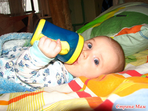 ���� "���� �����������"