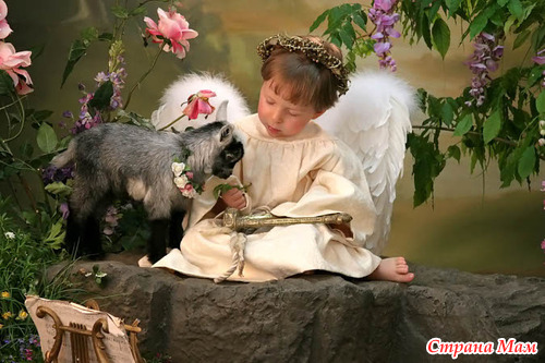 ����������� ����� �������-�������