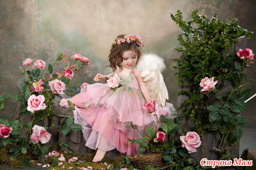 ����������� ����� �������-�������