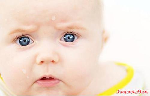 �������� ��� �������