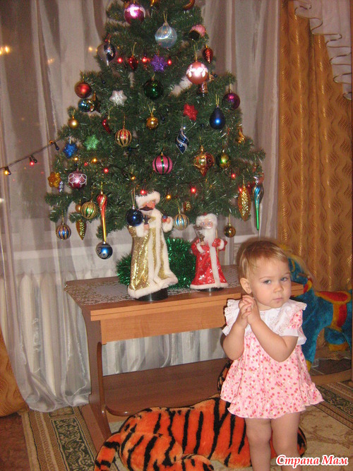 �������� ����