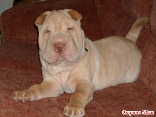 ���� ������ ����