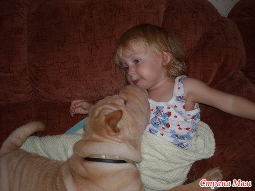 ���� ������ ����