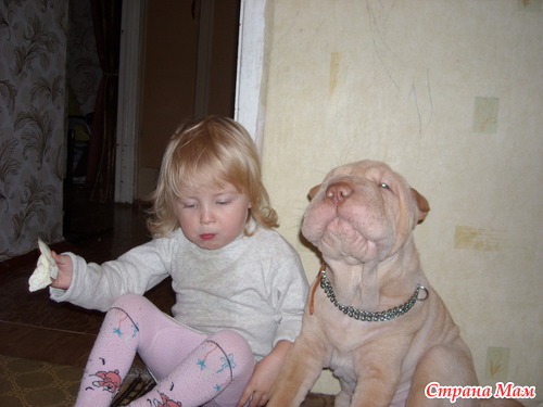 ���� ������ ����