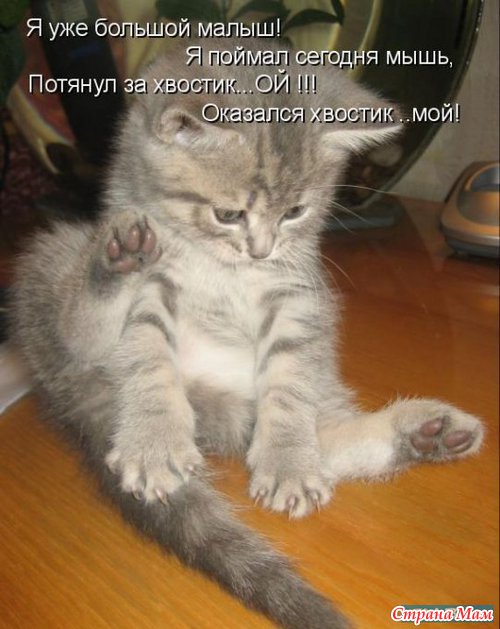 ����������� ��� �����!