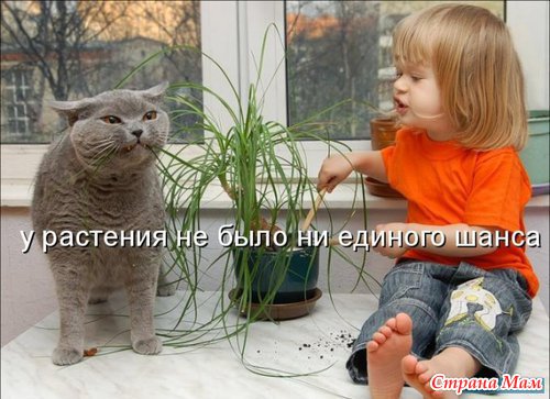 ����������� ��� �����!