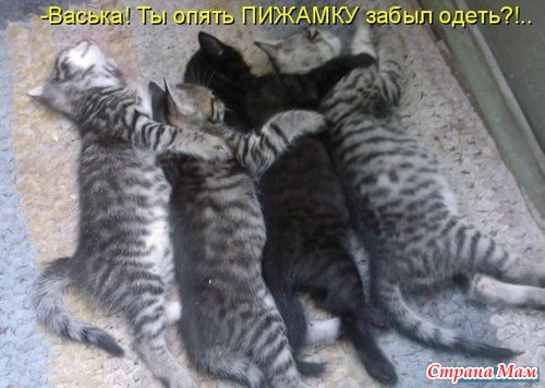 ����������� ��� �����!