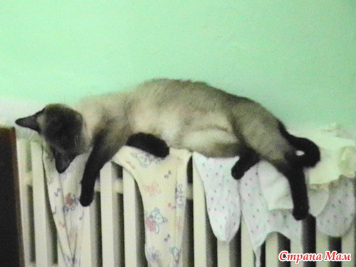 ��� �����