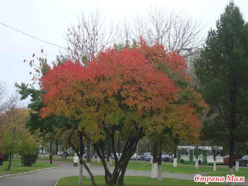 ������� �� ���������)))