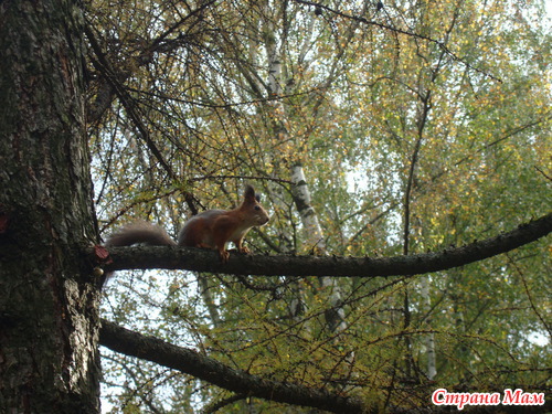 ������� �� ���������)))