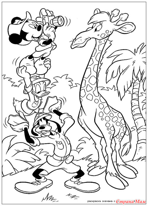 ���������� ��� �����