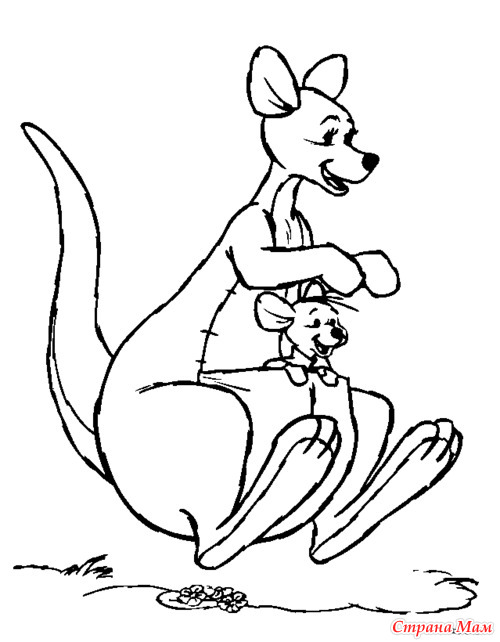 ���������� ��� �����