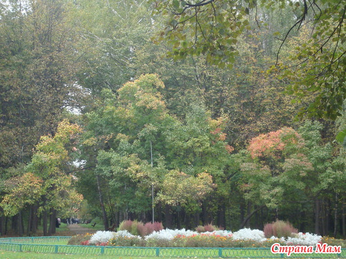 ������� �� ���������)))