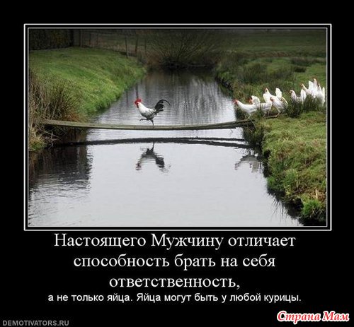 ��� ������