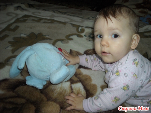 ����-������ �����