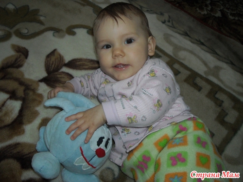 ����-������ �����