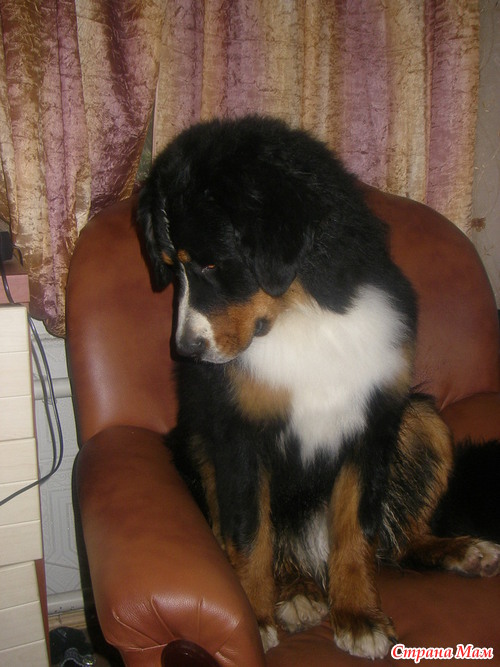 ���� �������� �������...