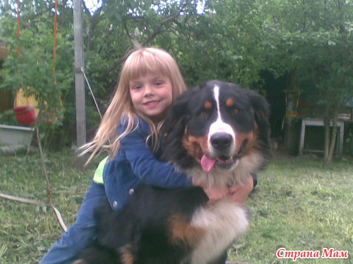 ���� �������� �������...