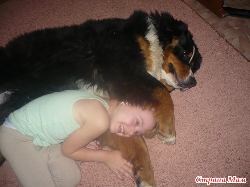 ���� �������� �������...