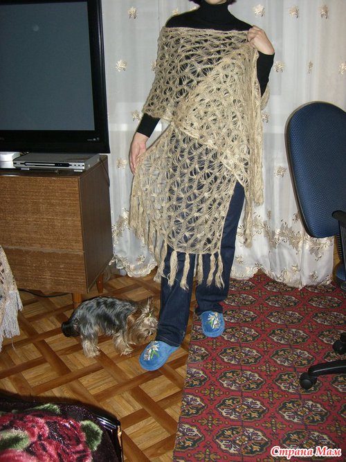 ��� ���������