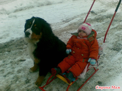 ���� �������� �������...