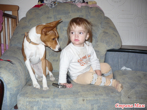 ���� �������� �������...