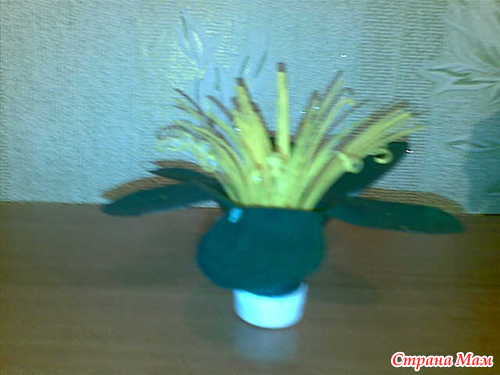 �� ����������� �������