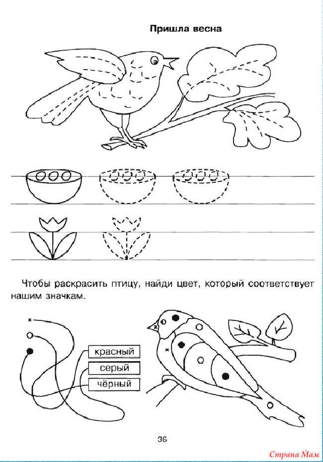 Задание 3 тема 1 готовим дома опишите фотографию